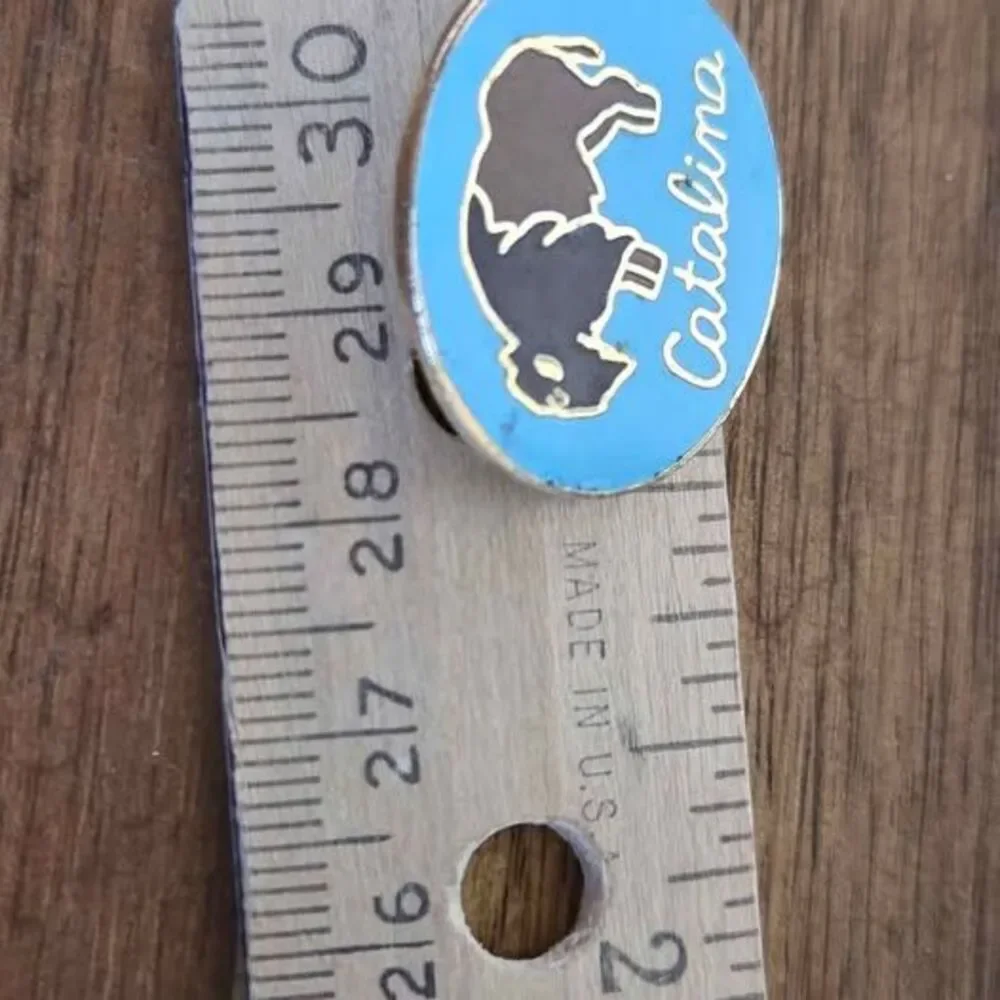 Vintage Catalina Island Buffalo Enamel Souvenir Pin Brooch by Impacto